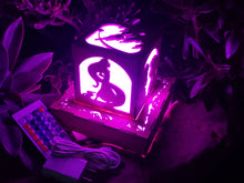 Load image into Gallery viewer, Modern Princess Inspired Color LED Lantern with Outlet powered Base