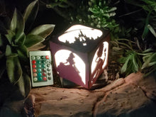 Load image into Gallery viewer, Classic Princess Inspired Color LED Lantern - Ariel, Snow White, Aurora and Belle