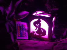 Load image into Gallery viewer, Modern Princess Inspired Color LED Lantern - Moana, Tiana, Rapunzel, Elsa and Anna