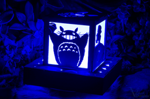 Load image into Gallery viewer, Totoro, Ponyo, No Face, Princess Mononoke, Kiki's Delivery Service- fan made Color Changing Lantern with outlet powered base